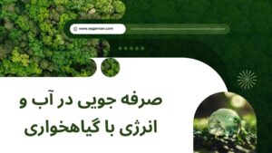 صرفه جویی در آب و انرژی با گیاهخواری