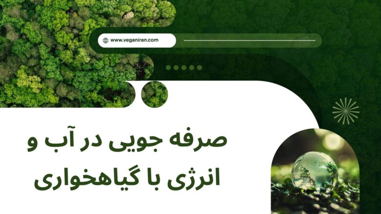 صرفه جویی در آب و انرژی با گیاهخواری